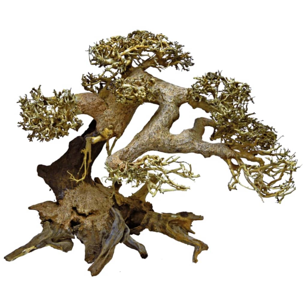 Afbeelding Superfish - Bonsai Driftwood Large door Vidaxl.nl