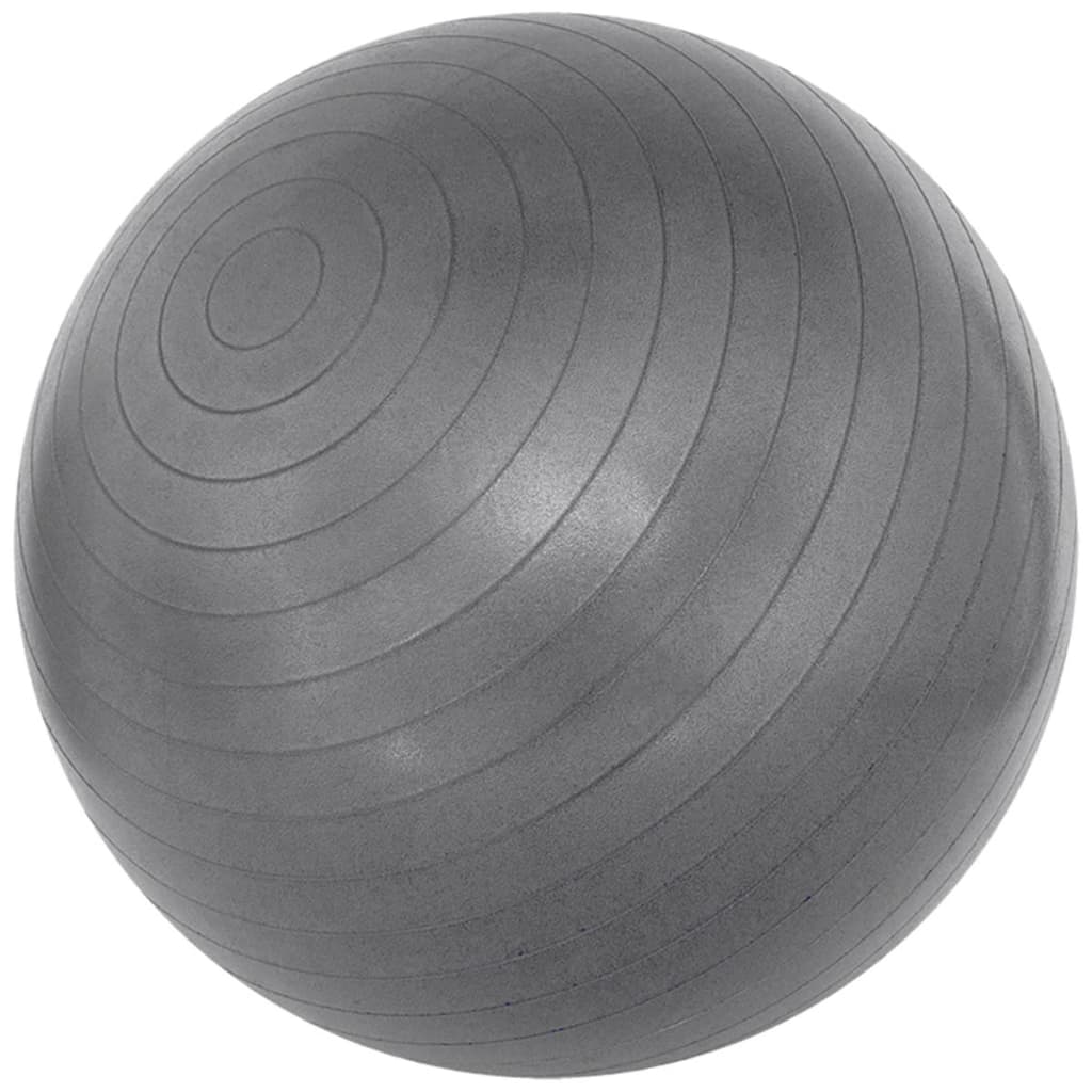 Avento Fitnessbal 55 cm zilver 41VL-ZIL
