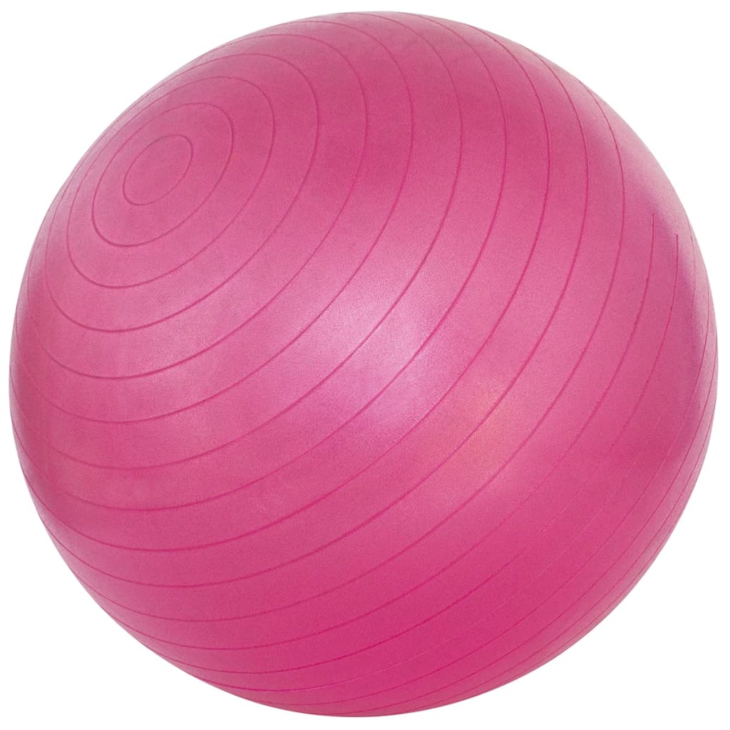 VidaXL - Avento Fitnessbal 65 cm roze 41VM-ROZ