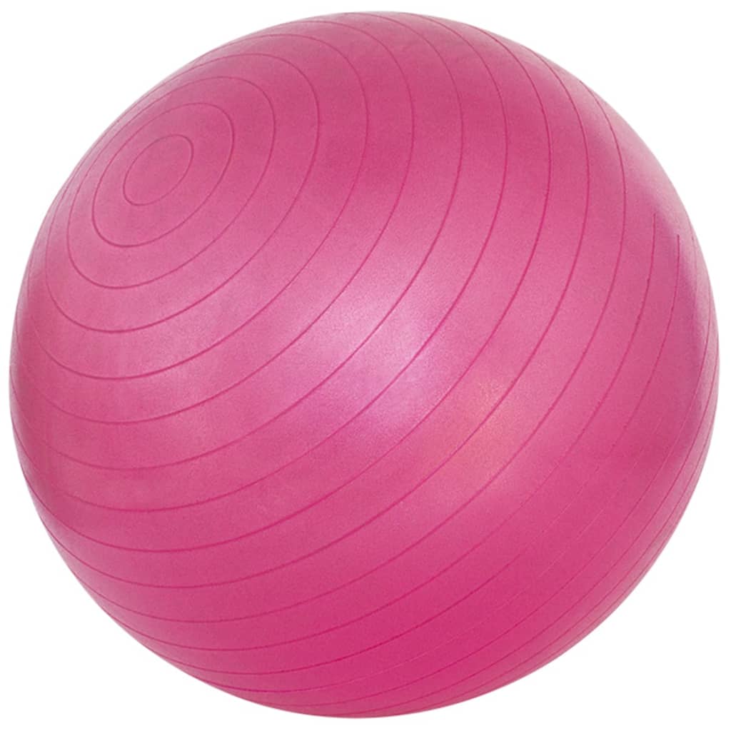 Avento Fitnessbal 55 cm roze 41VL-ROZ