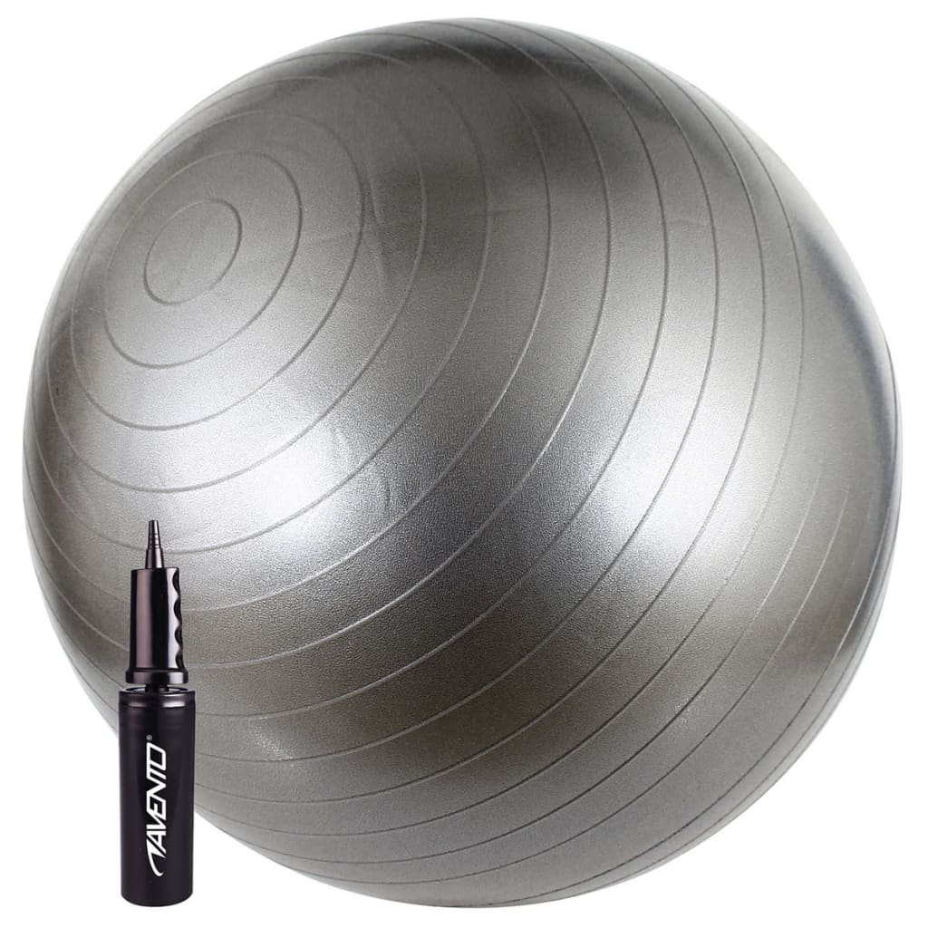 Avento Fitnessbal 65 cm zilver 41VV-ZIL