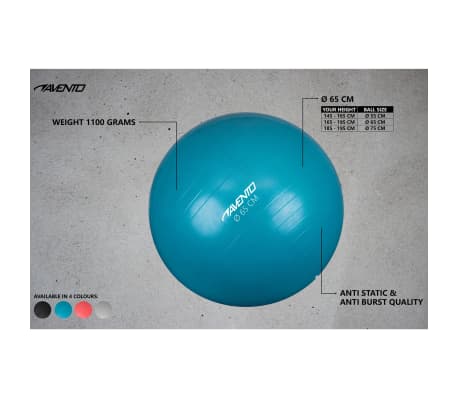 Avento Ballon de fitness/d'exercice Diamètre 65 cm Argenté