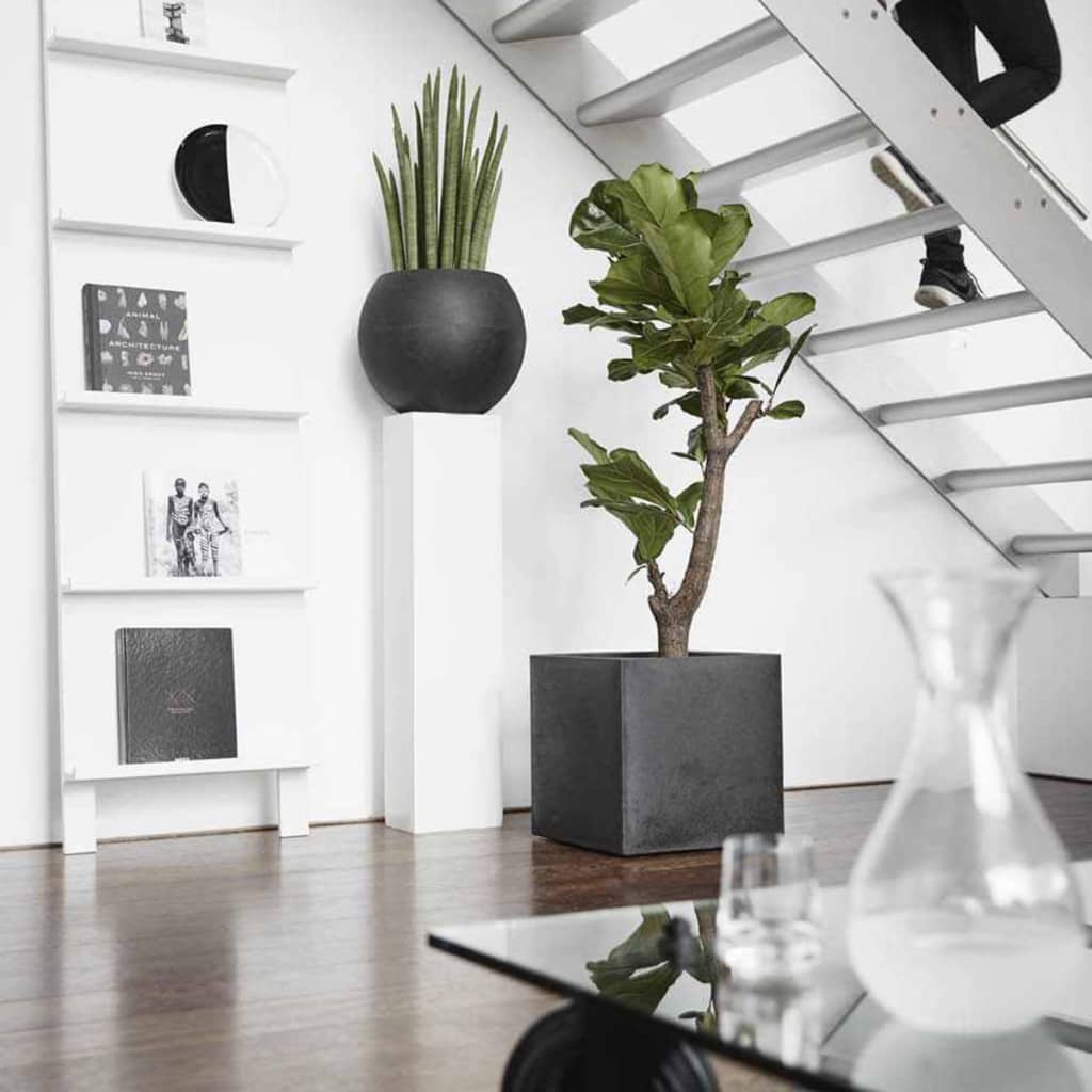 

Capi Plantenbak Urban Smooth vierkant 40x40x40 cm zwart PKBL903