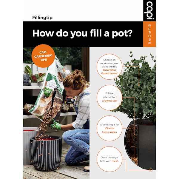 Kuvatakse tootepilt 4 / 11