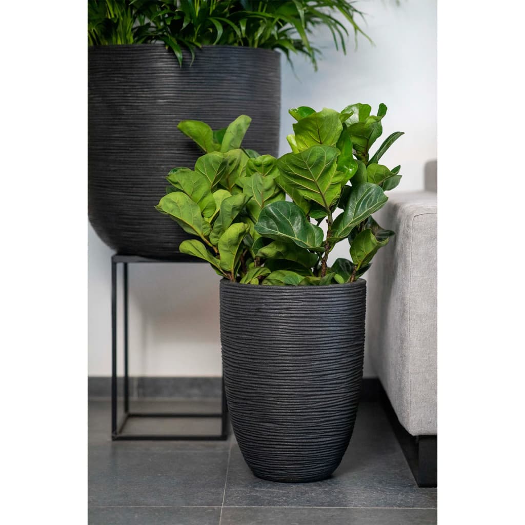 Capi Vaza Nature Rib elegantna nizka 46x58 cm črna