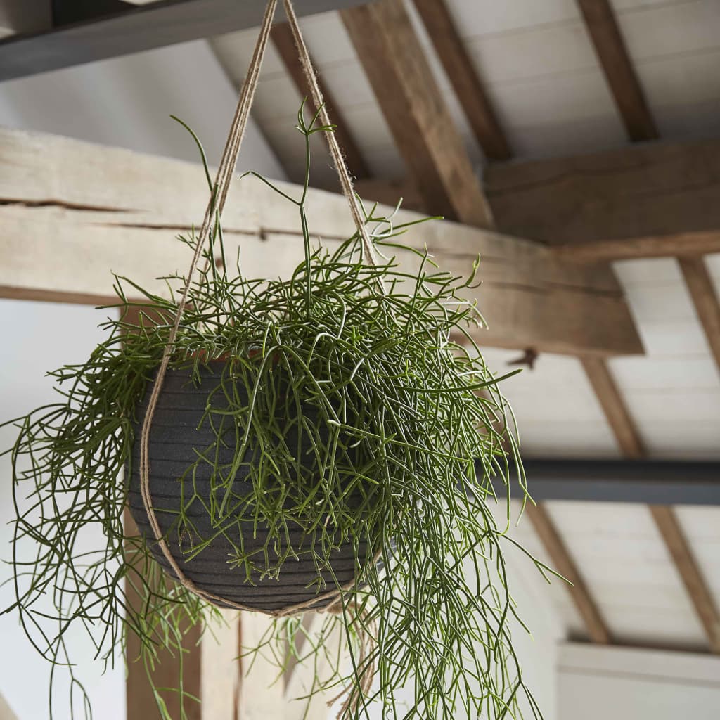 Кашпа Nature Row, кръгла, 62x48 см, черна, KBLRO271