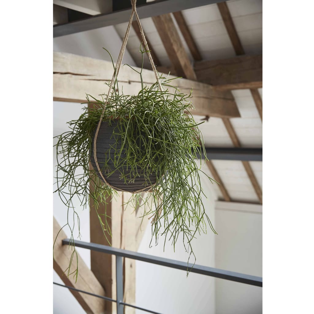 

Capi Bloempot Nature Row bolvormig 40x32 cm zwart PKBLRO270