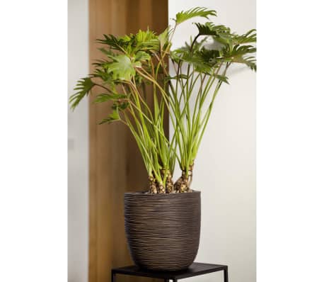 Capi Blumentopf Nature Rib 35x34 cm Dunkelbraun