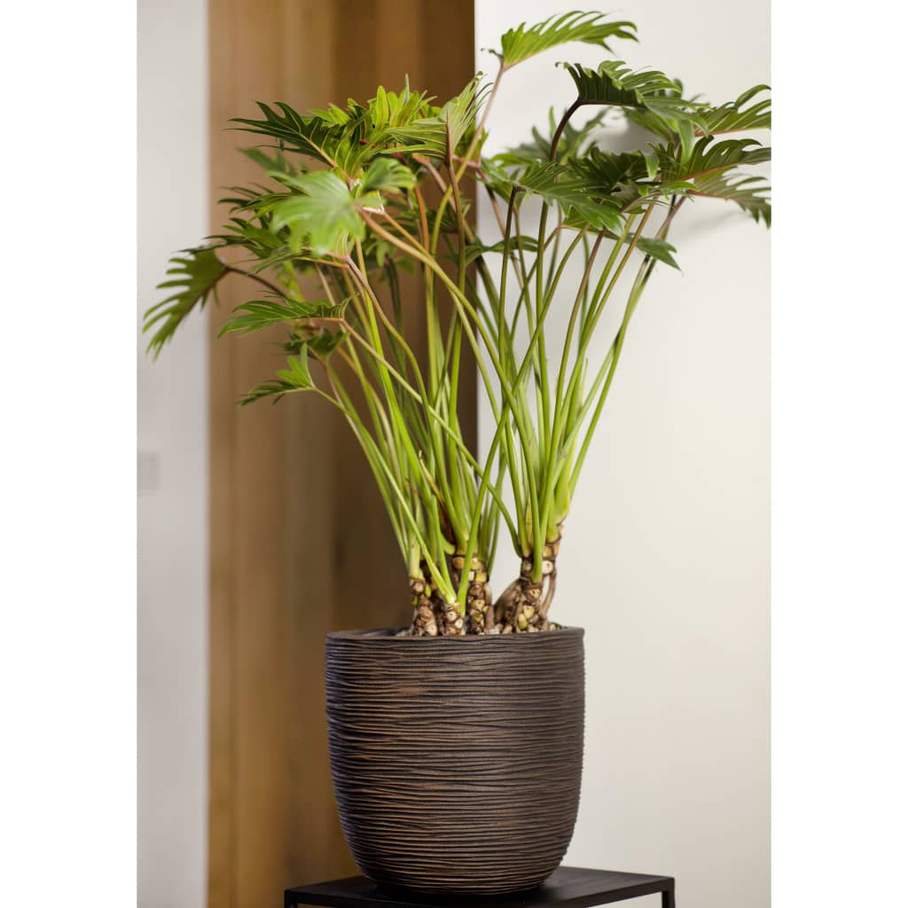 

Capi Egg Plantenbak Nature Rib 43x41 cm donkerbruin