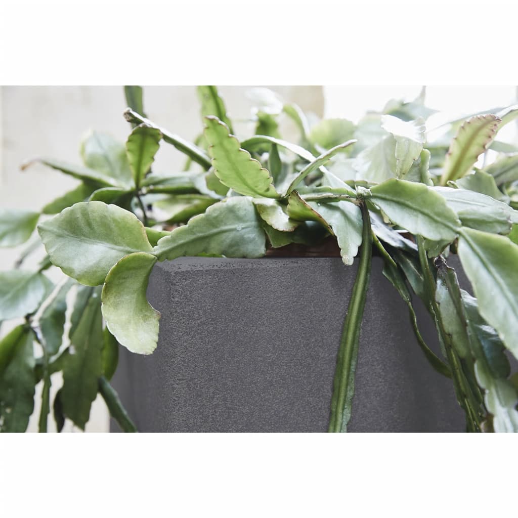 

Capi Plantenbak Urban Smooth vierkant 30x30x30 cm donkergrijs