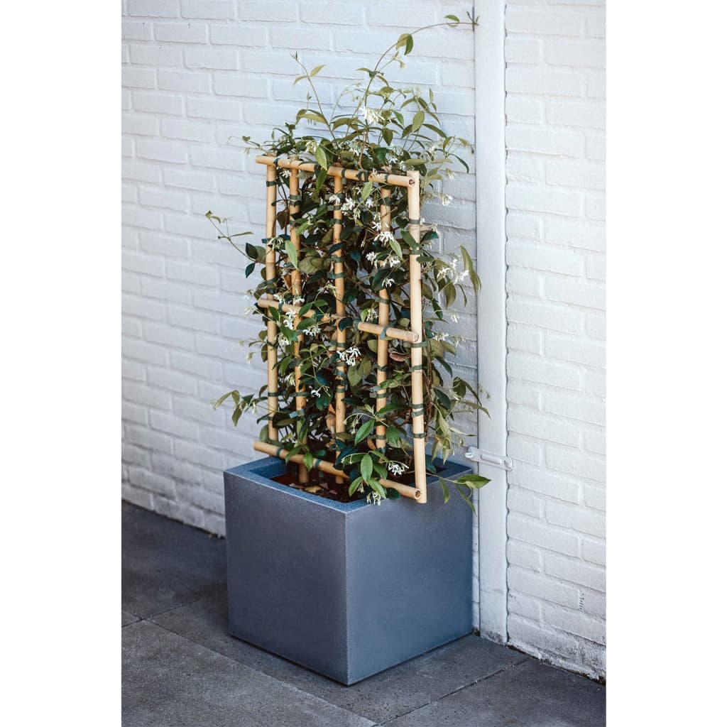 

Capi Plantenbak Urban Smooth vierkant 50x50x50 cm donkergrijs