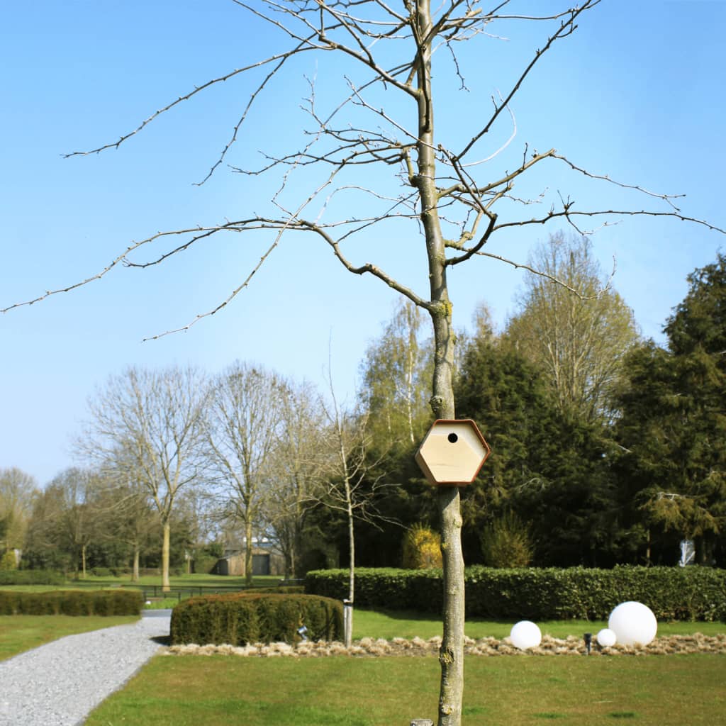 Capi Vogelhuisje Hive