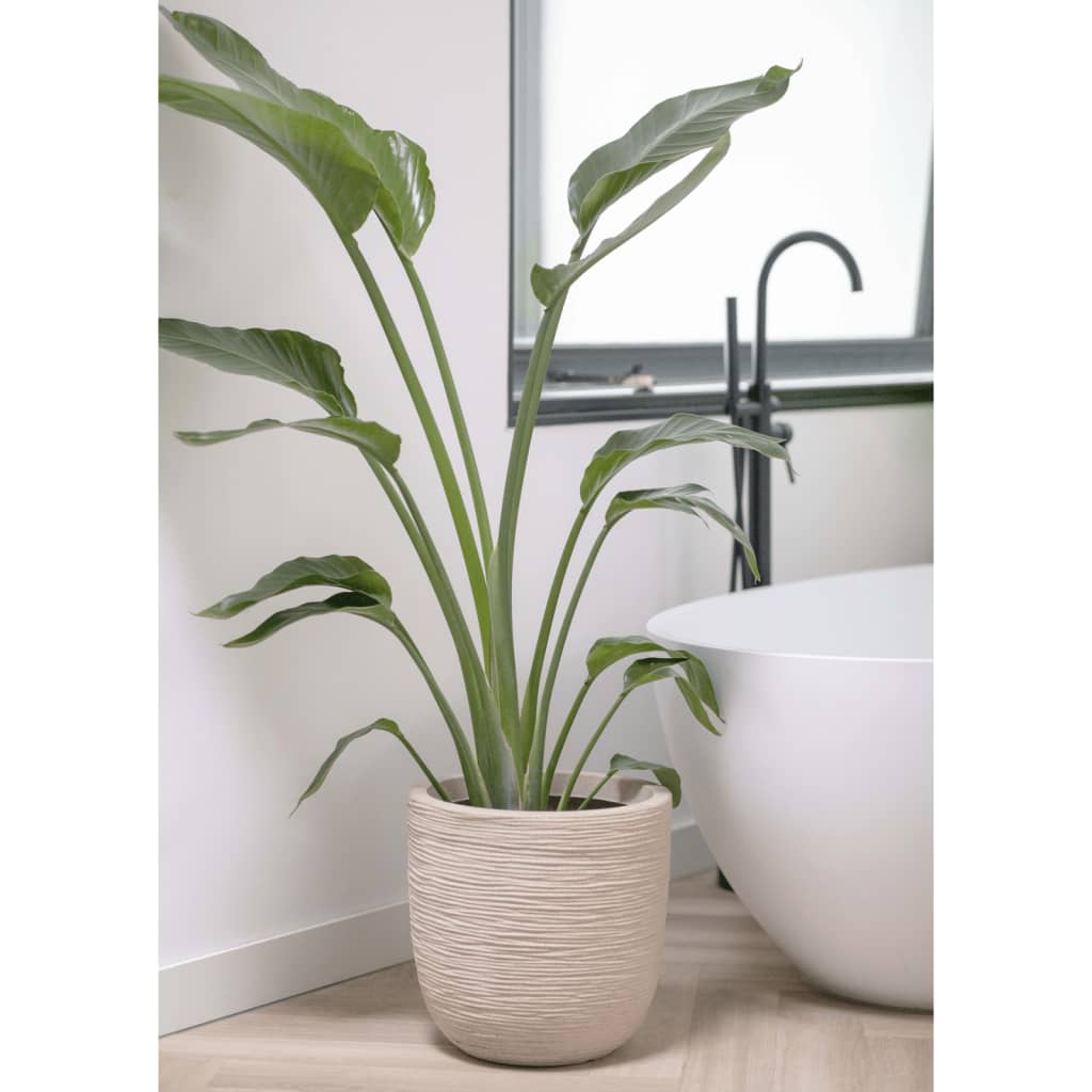 Fioriera Rotonda Waste Rib 43x41 Cm Beige Terrazzo Capi 15 width=274