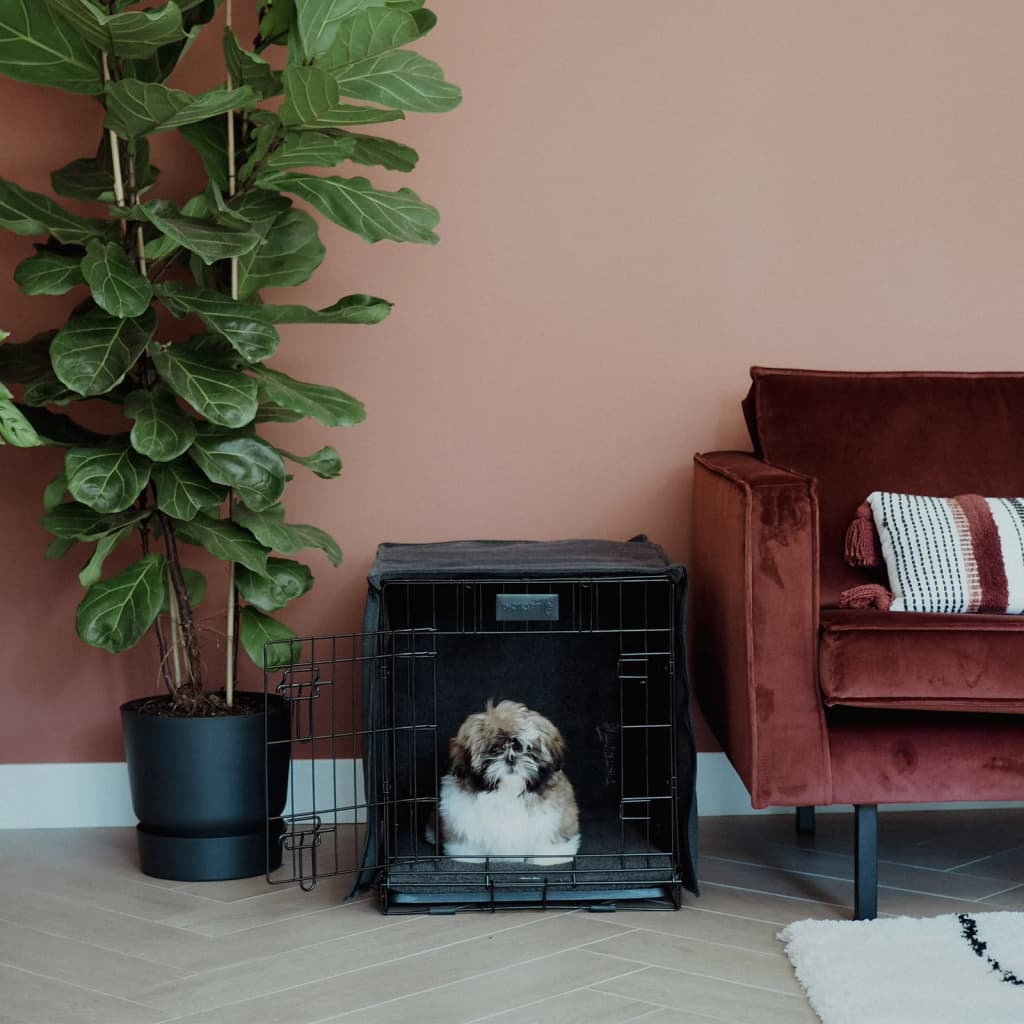 DISTRICT70 Benchhoes L