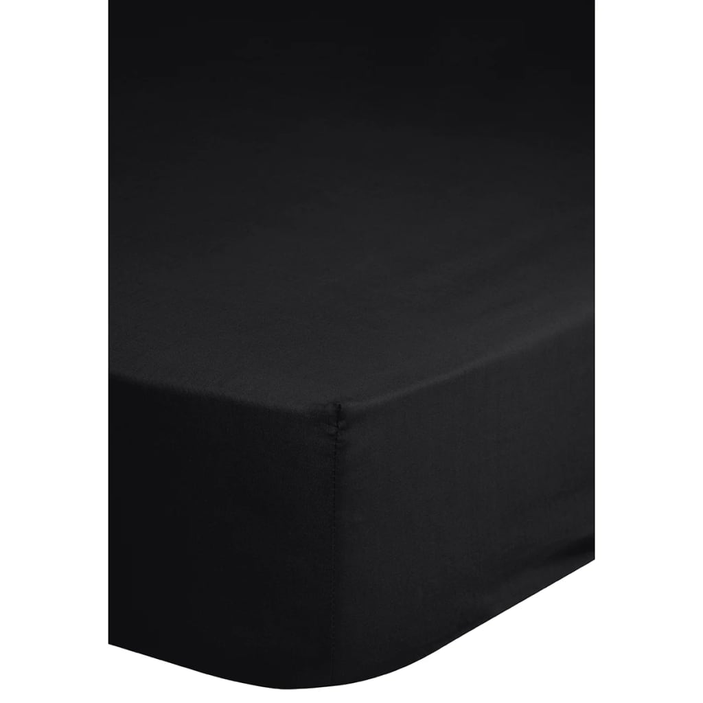 VidaXL - Emotion Hoeslaken strijkvrij 80x200 cm zwart 0220.04.41