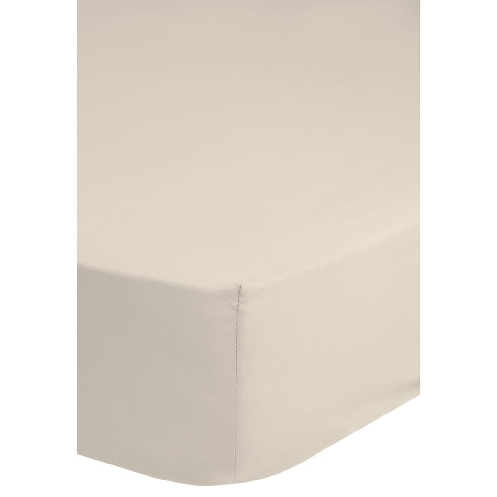 VidaXL - Emotion Hoeslaken strijkvrij 80x200 cm ecru 0220.01.41