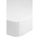 Descanso Hoeslaken dubbelzijdig jersey 160/180x200 cm wit 0215.00.46