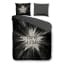 Pure Stars Dekbedovertrek 100 Microvezel Lits Jumeaux pure kopen in de aanbieding Pure Stars Dekbedovertrek 100 Microvezel Lits Jumeaux pure kopen in de aanbieding