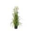 Mica Decorations Pluimgras Pom Groen Maat In Cm 120 X 45 mica decorations kopen in de aanbieding