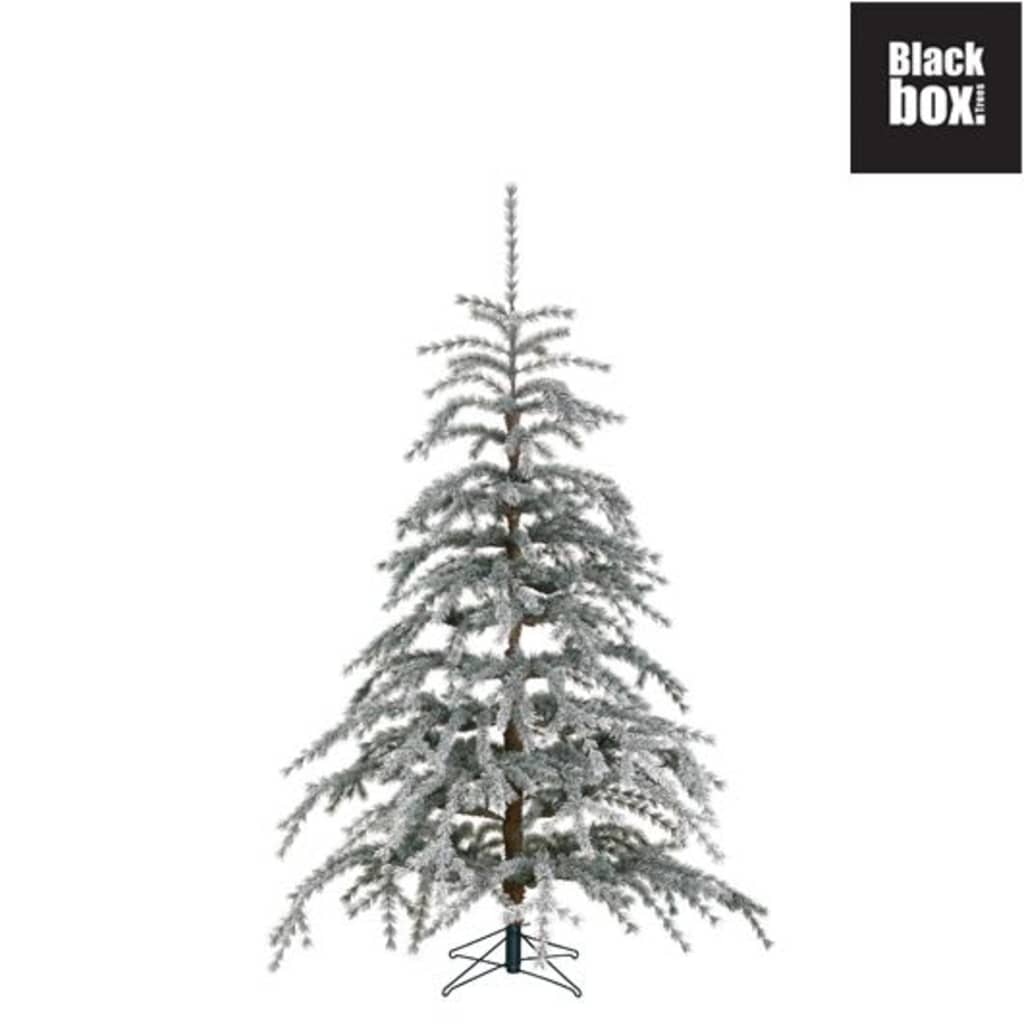 Black Box Trees - Springdale kerstboom wit - h185xd150cm