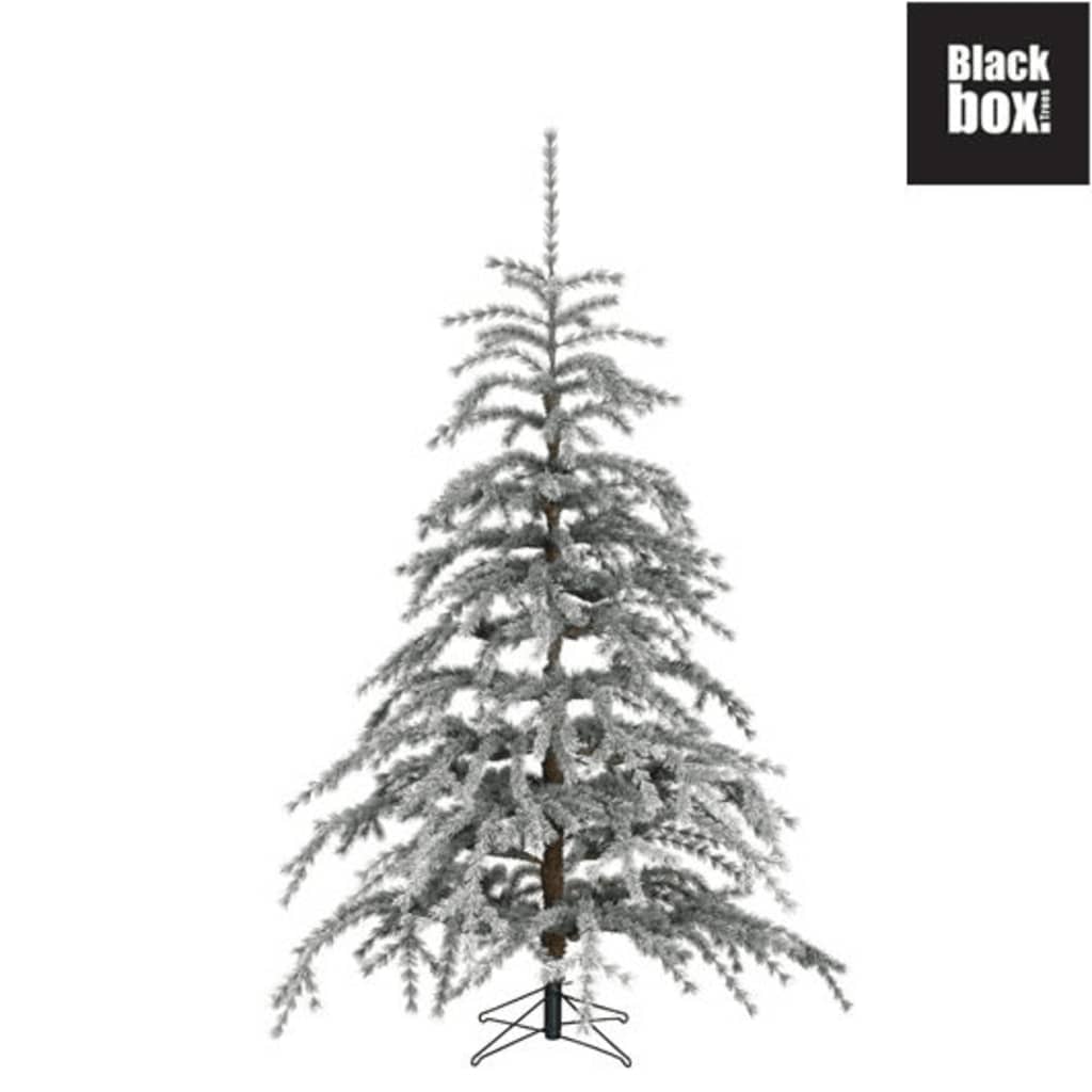 Black Box Trees - Springdale kerstboom wit - h215xd152cm
