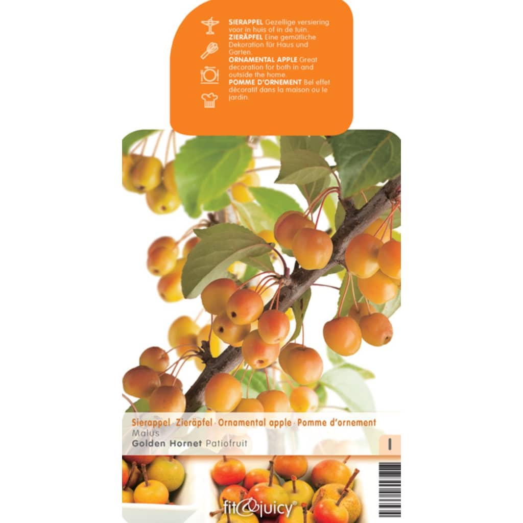 Afbeelding Fruithof Malus Golden Hornet Patio door Vidaxl.nl