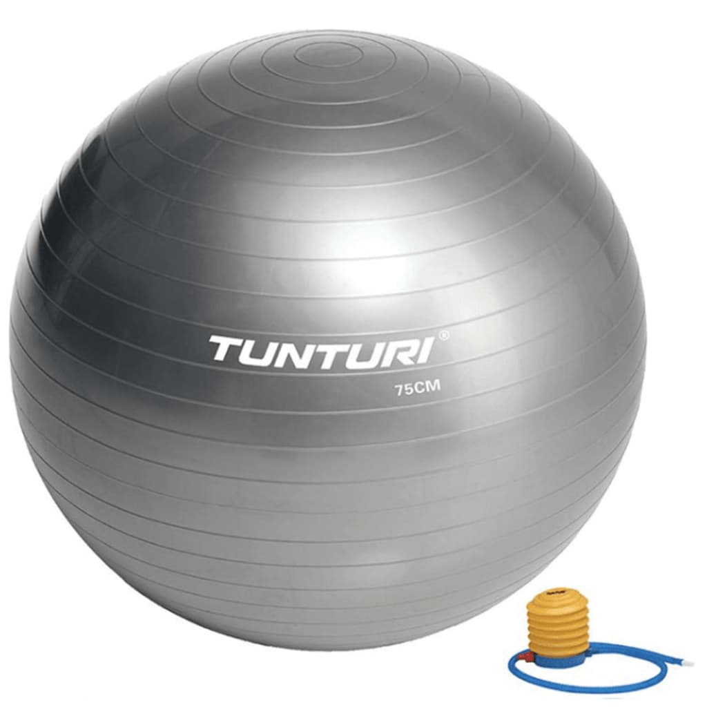 Afbeelding Tunturi gymbal l fitnessbal incl pomp l 65 t/m 90 cm l zilver door Vidaxl.nl