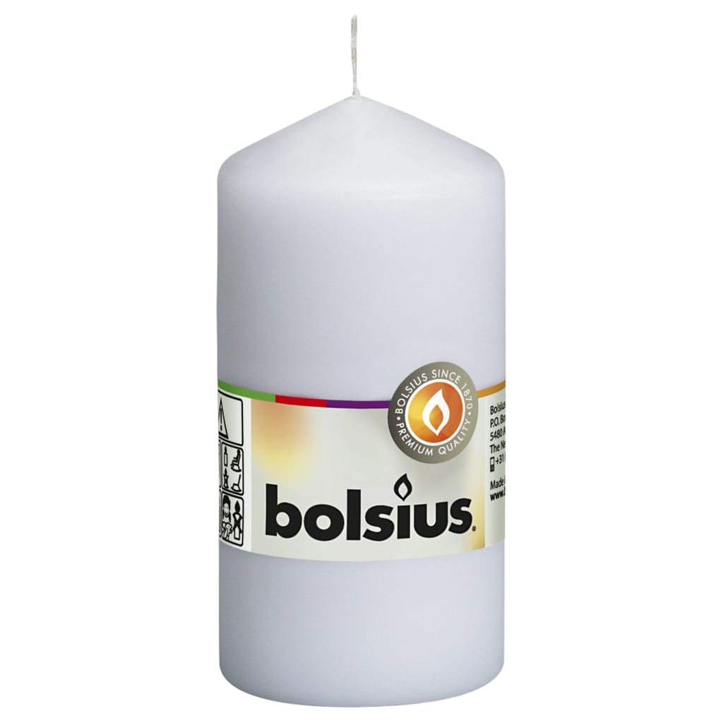 

Bolsius Stompkaarsen 10 st 120x58 mm wit