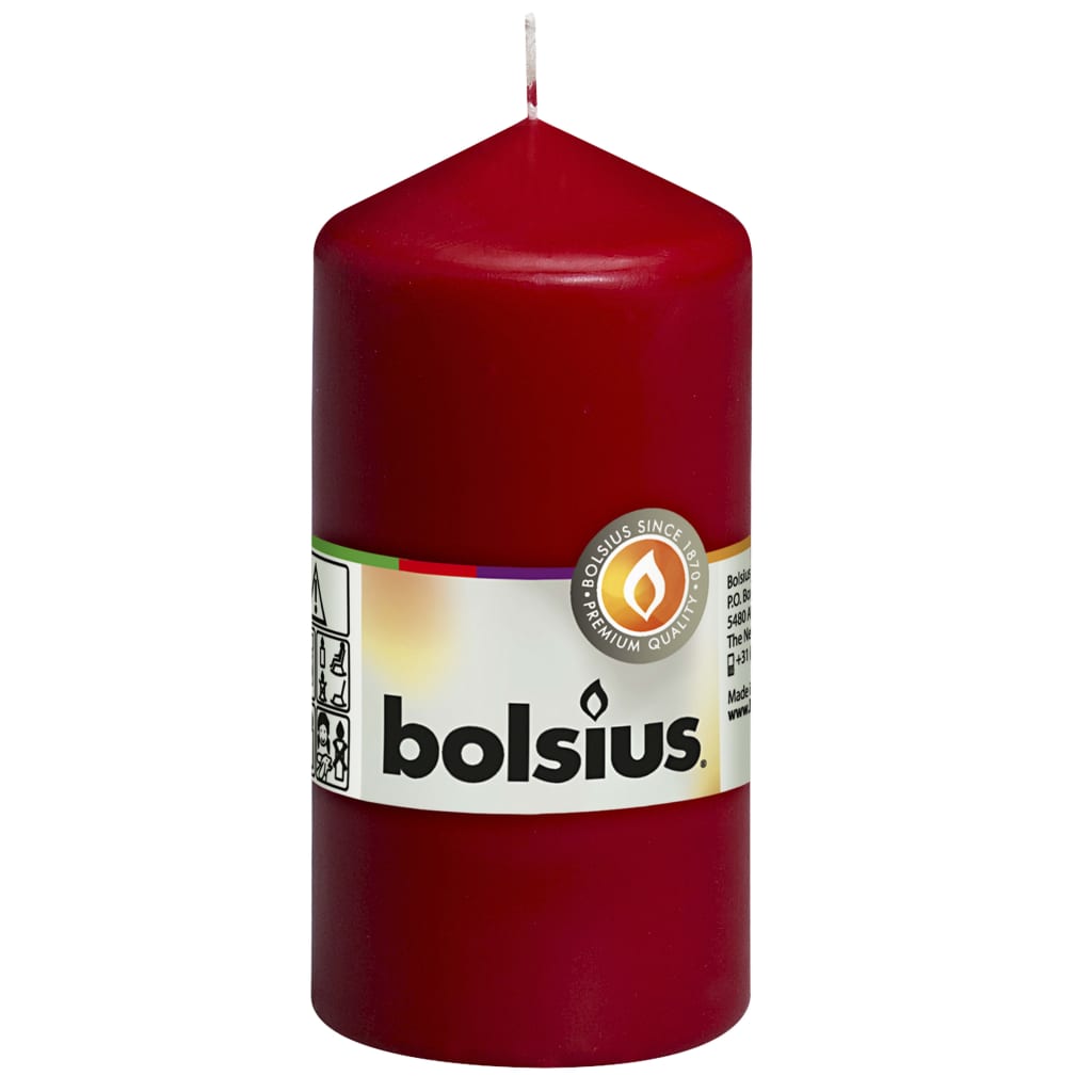Bolsius Bougies pilier 10 pcs 120x58 mm Rouge bordeaux
