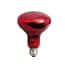 Beeztees Infrarood Warmtelamp R80 60W beeztees kopen in de aanbieding Beeztees Infrarood Warmtelamp R80 60W beeztees kopen in de aanbieding