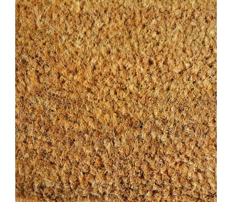 vidaXL Durų kilimėlis, kokoso palmės pluoštas, 17mm, 50x80cm