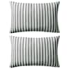 Grey_stripe