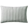 Grey_stripe