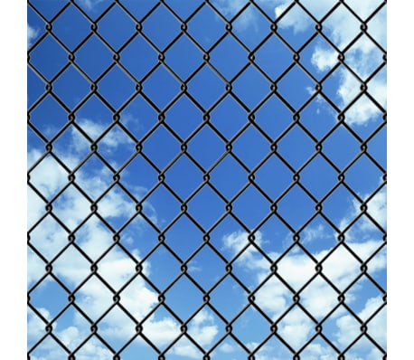 vidaXL Chain Link Fence with Spike Anchors 1.97x25 m Grey