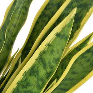 Umělá rostlina sansevieria s květináčem 65 cm zelená - obrázek 2