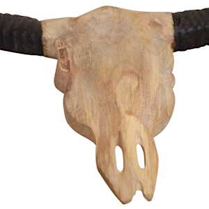 Nástěnná plastika býčí lebky, teak, 69x6x60 cm - obrázek 6