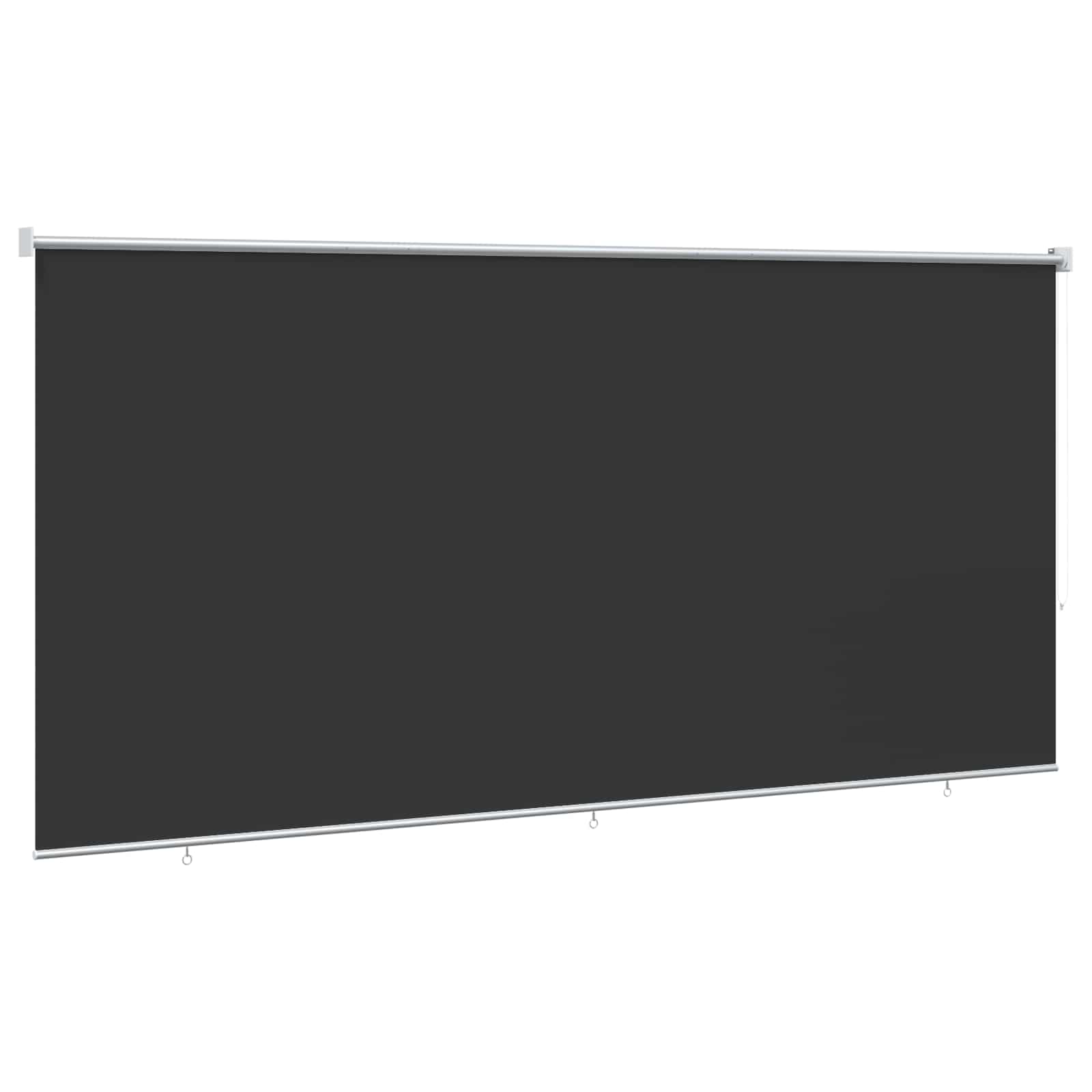 vidaXL Rolgordijn voor buiten 305(B)x140(H) cm antracietkleurig, foto 4