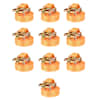 vidaXL pingutitega koormarihmad 10 tk 1 tonn 6 m x 38 mm, oranž