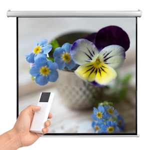 vidaXL Elektrisk projektorskjerm med fjernkontroll 160x160 cm 1:1