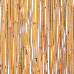 Bambusový plot 500 x 50 cm - obrázek 7