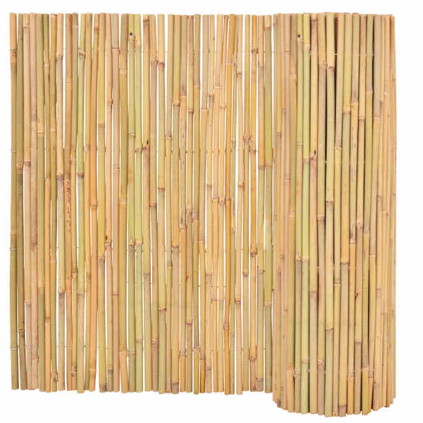 vidaXL bambusaed, 300 x 100 cm