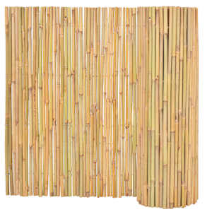 Bambusový plot 300 x 100 cm - obrázek 2