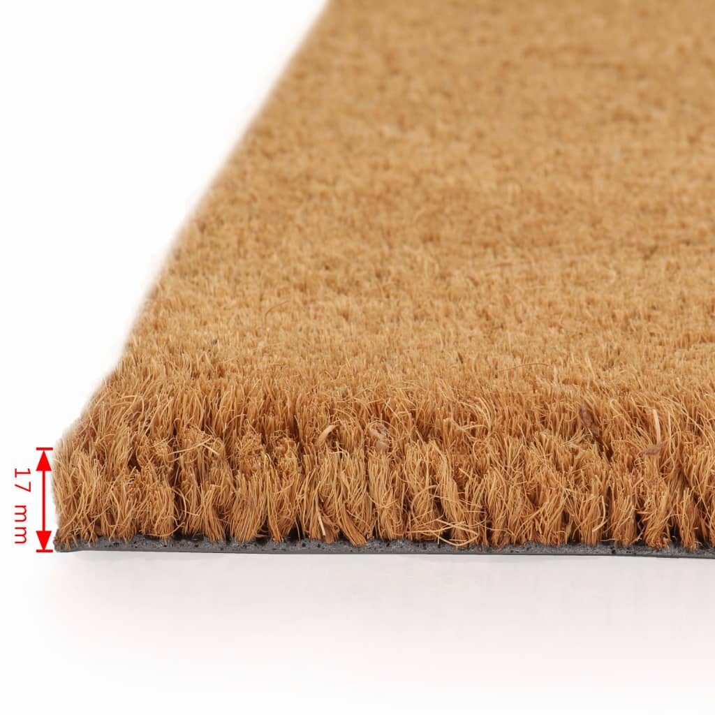 vidaXL Doormats 2 pcs Coir 17 mm 50x80 cm Natural