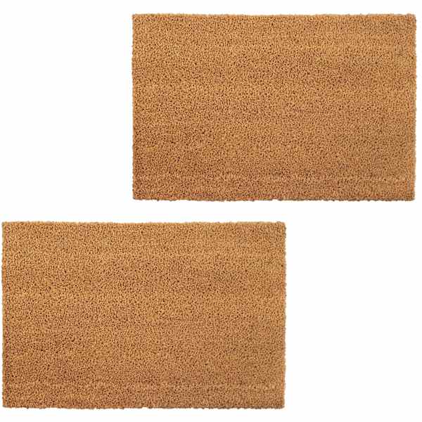 vidaXL uksematt 2 tk, kookoskiud, 24 mm 40 x 60 cm, naturaalne