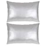 vidaXL Komplet blazin 2 kosa PU 40x60 cm srebrne barve