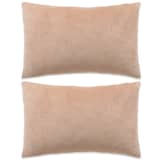 vidaXL Jeu de coussin 2 pcs Velours 40 x 60 cm Beige