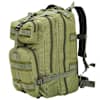 Olive_green