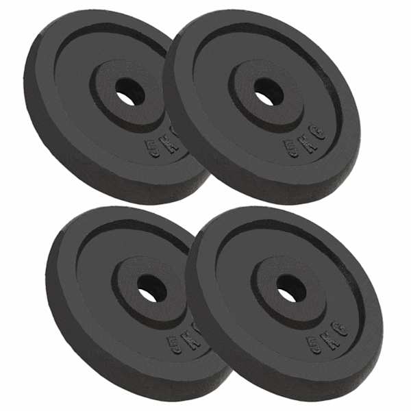 vidaXL kangi kettad, 4 tk, 4x5 kg, malm
