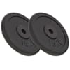 vidaXL kangi kettad, 2 tk, 2x10 kg, malm