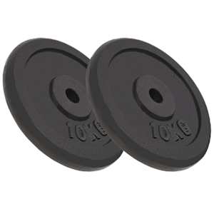 vidaXL kangi kettad, 2 tk, 2x10 kg, malm